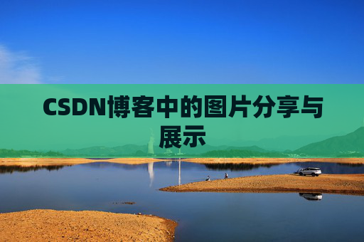 CSDN博客中的图片分享与展示